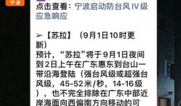 台风苏拉最新爆料视频大全,视频大全直击现场，揭秘风雨中的惊心动魄