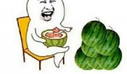 娱乐吃圈瓜