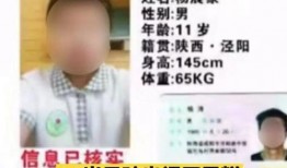 失踪男孩爆料视频,惊心动魄的爆料视频背后