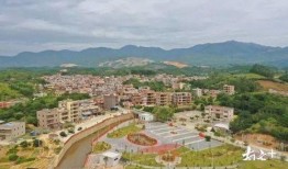 惠来县葵潭镇爆料事件最新,事件真相与进展全解析